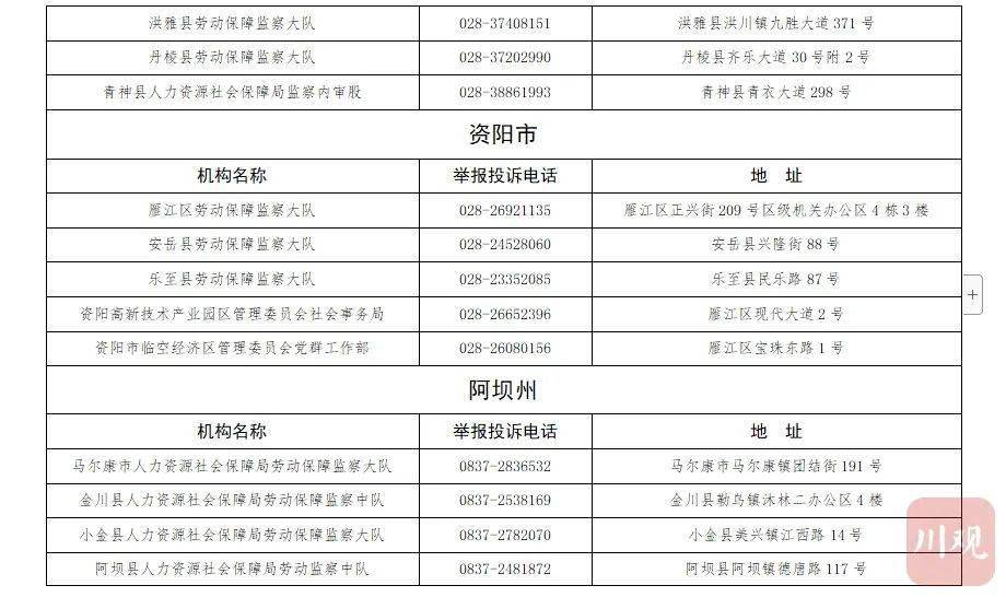 今期新澳门开奖结果记录，探索与解析今期新澳门开奖结果记录表查询