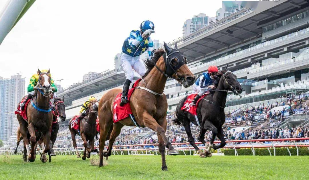 香港马会资料大全，赛马运动的魅力与全方位信息解读