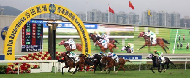 香港马会开奖直播，体验赛马运动的激情与魅力香港最快开奖结果开奖直播