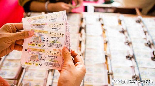 国际 第17页