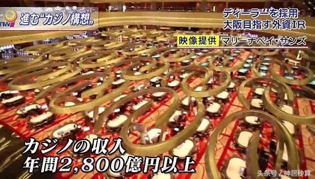 澳门新版开彩结果走势图，探索与解读新版澳门开彩结果走势图澳门开奖现场直播