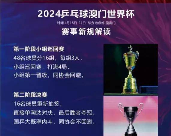 新澳门资料大全正版资料2024，探索与解读2025年正版资料免费大全
