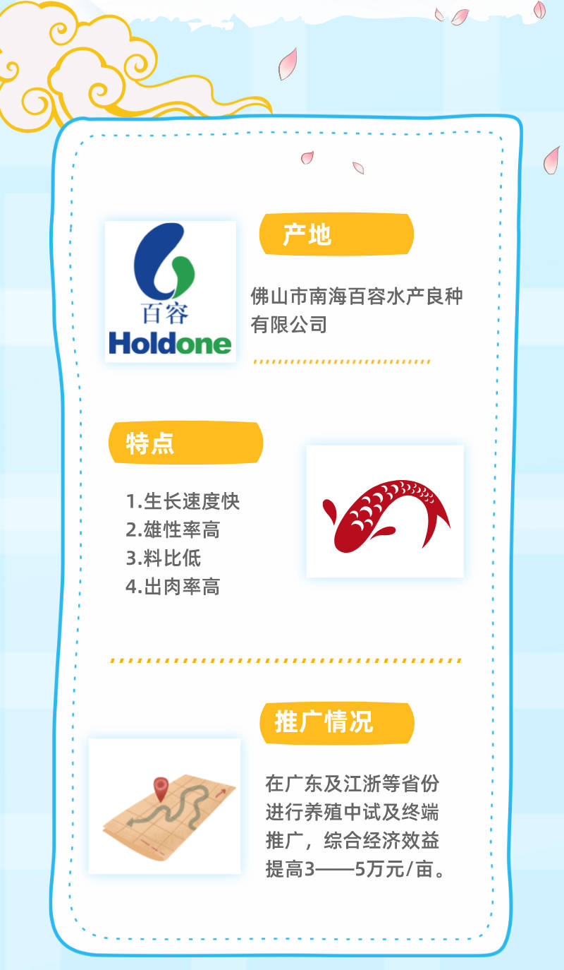探索管家婆正版全年免费资料的世界
