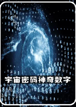 探索WWW493333C0m，数字世界的神秘角落