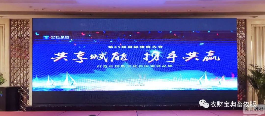 六台宝典与图库2018，探索数字时代的资源宝库