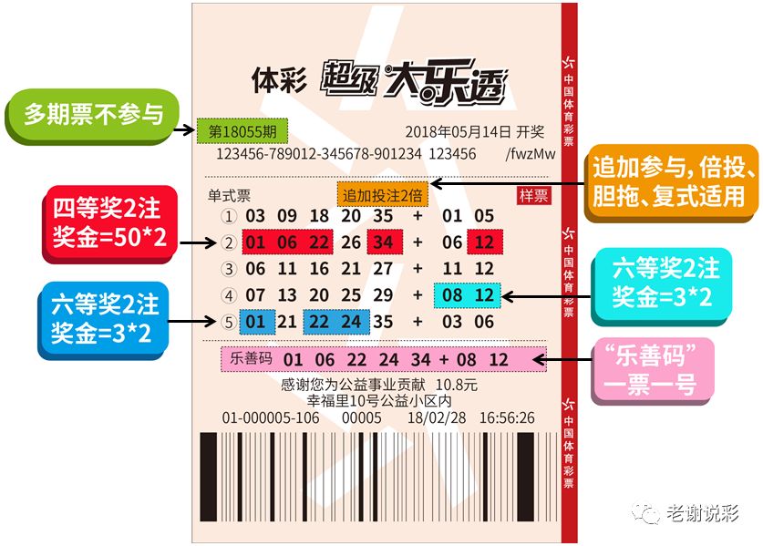 大乐透连线走势图表，揭示数字彩票背后的秘密彩经网大乐透连线走势图表
