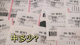 二四六天天好彩每期文字賧料，探索彩票背后的故事与魅力