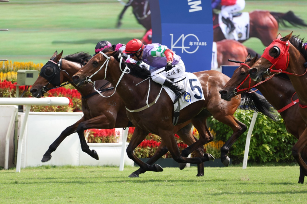 香港马会2019资料大全，赛马运动的繁荣与数据解析香港2021年马会资料大全