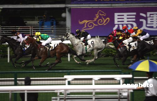 香港马会开奖现场，激情与期待的交汇点香港马 会开奖结果新闻