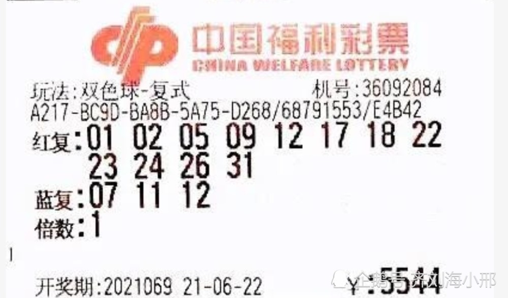 新澳门今晚开奖结果揭晓，开奖盛况与期待新澳门今晚开奖结果 开奖记录表