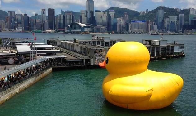 香港期期准资料大全—探索金融市场的关键指南香港期期准资料大全最新版本更新内容