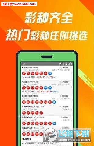 王中王493333中特1肖，探寻神秘数字背后的故事与奥秘王中王493333中特一网|493333王中王开奖结果