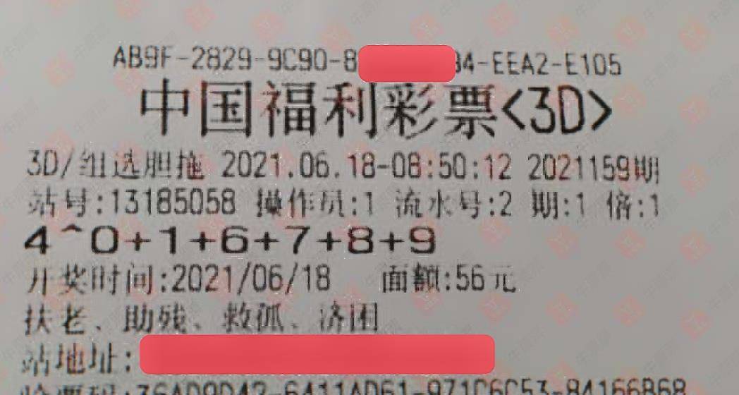 新澳门今晚开奖结果查询，探索彩票世界的神秘与期待新澳门今晚开奖结果查询表图片