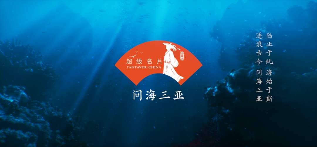 澳门新开奖号码的魅力与探索，近三十期的数字奥秘新澳门近30期开奖号码记录