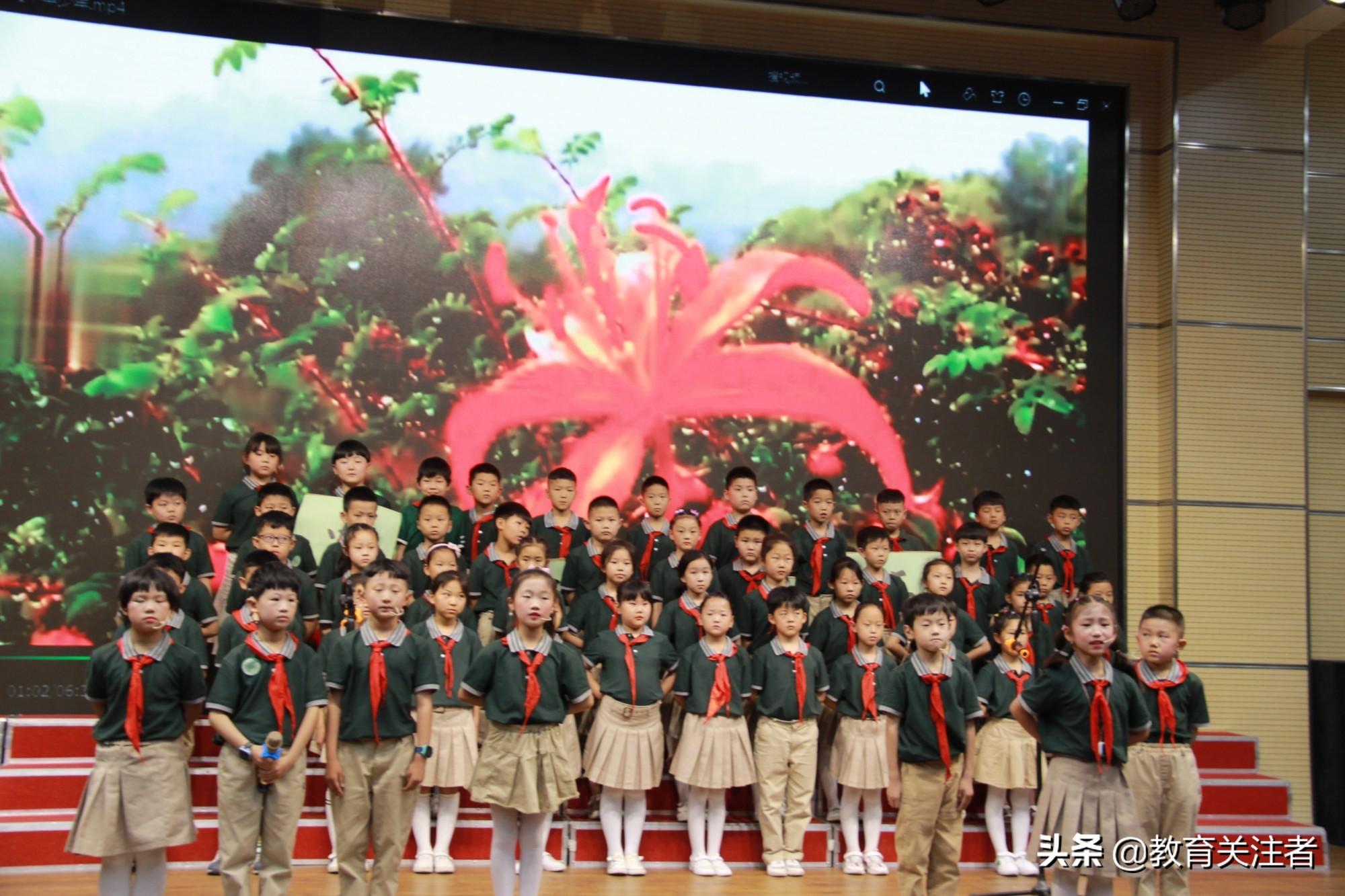 二四天天正版免费资源大放送，探索知识的海洋，尽享无限资源盛宴二四天天正版免费资枓大,百度