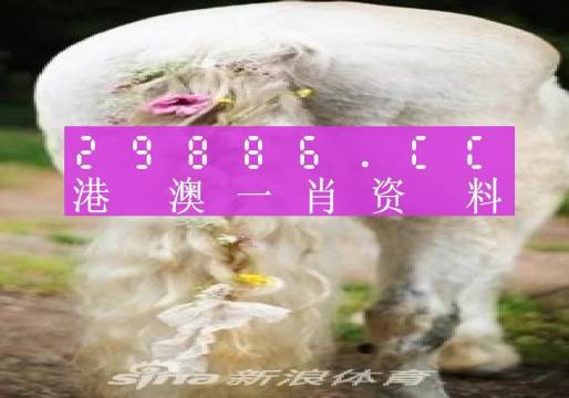 澳门今期特马四不像，探索与解析澳门开奖特马料四不像